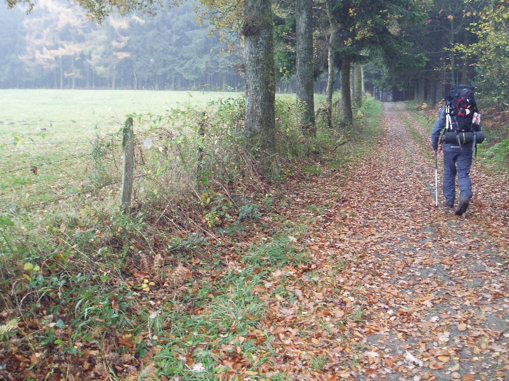 Willem walking the woods